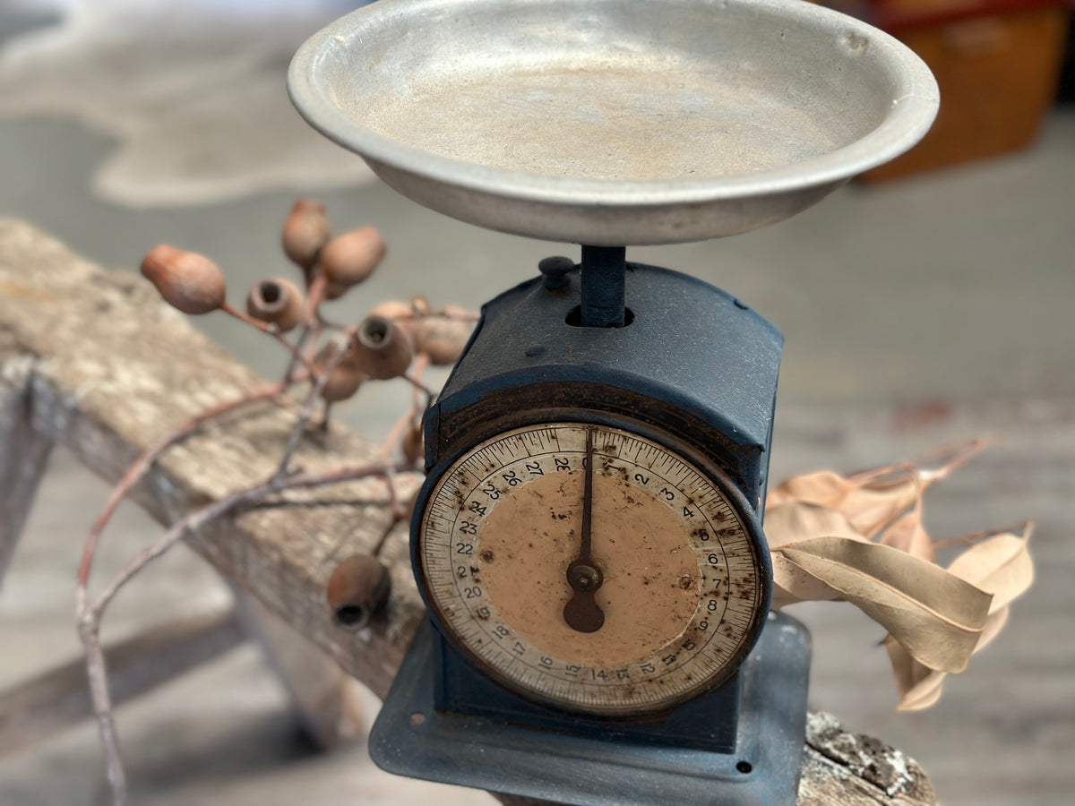 Farmhouse kitchen scales hotsell