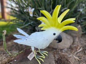 CRAZEE the Cockatoo